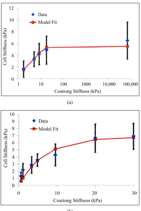 Figure 2. Comparison between stiffness adaptation model depicted by blue diamonds and line and experiments (a) by Solon et al