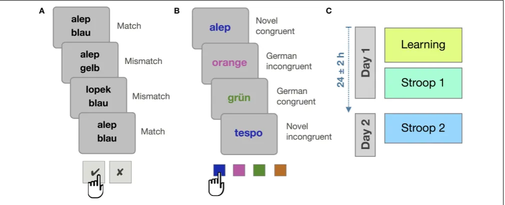 FIGURE 1 | Overview of Experiment 1. (A) Statistical learningprinciple: While match and mismatch trials appear equally often, somenovel words are paired frequently with a particular native language
