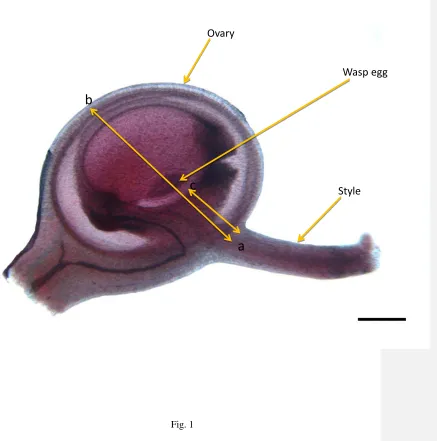 Fig. 1  