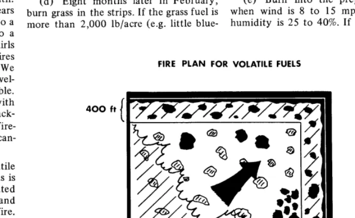 Fig. 5. After firelines are cut, a lOO-ft strip on the downwind sides (north and east) of a pasture is backfired with winds less than 8 mph and with relative humidities between 50 and 60%
