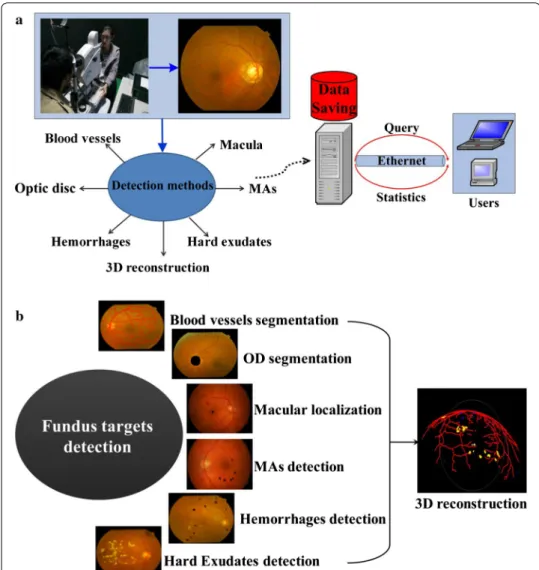 Fig. 2  Automatic DR screening system. a Framework. b Fundus targets detection modules