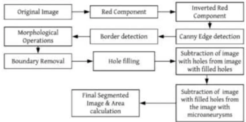 Figure 16: Flow-chart  for Microaneurysms detection 