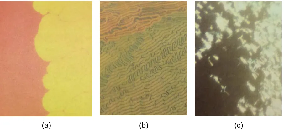 Figure 1. The visual appearance of (a) the undistorted N* state in a mixture comprising 20.1±0.2 mole percentage of CE2 in 4CB, (b) just above the threshold for periodic distortion and (c) at the threshold to the unwound nematic state10