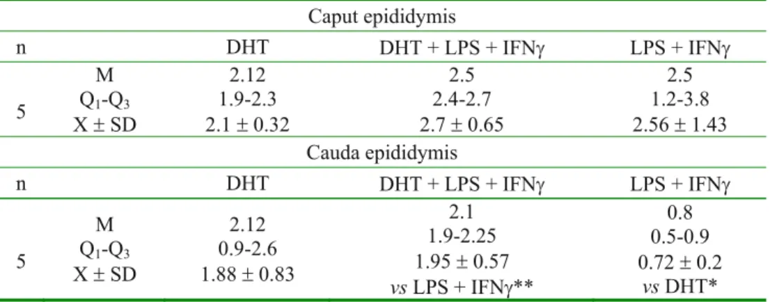 Tab. 3. The concentration of 17 E-estradiol (pg/ml) in the culture medium of epithelial cells  of the caput and cauda epididymis