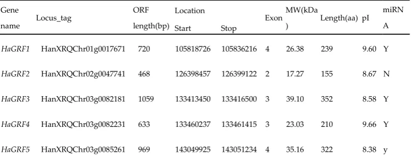 Table 1 Informations of HaGRF genes 