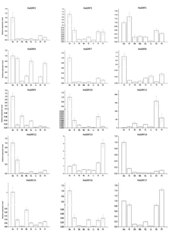 Figure 4 qRT-PCR analysis of HaGRF genes expression in eight different tissues, including seed(Se), root(R), Shoot(Sh), mature leaf(ML),Young leaf(SL), Ligule(Li), Stamen(St), Pistil(Pi)