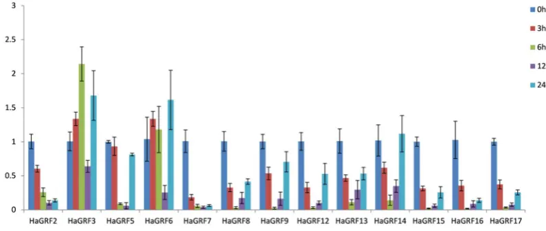 Figure 5 Expression patterns analysis of HaGRF genes treated with ABA by qRT-PCR. Relative expression levels are shown as means±SD