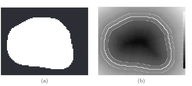 Figure 1. Binary representation of a shape (b) Corresponding SDF, with overlaid narrow band (shading) and zero level set contour     )