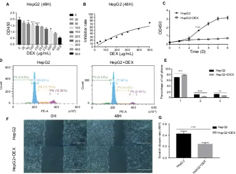 Figure 1 DeX inhibits proliferation and migration of hepg2 cells in vitro. fitting curve of DEX, the IC50 of DEX was 329 µg/mL (Abbreviation:Notes: Inhibition of HEPG2 cells by different concentrations of DEX