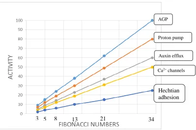 Figure 6. Major variables of the phyllotaxis algorithm  SAMPa stem apical meristem protoderm generates new primordia as a function of the activity of five major variables or determinants shown in the 