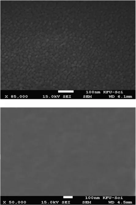 Fig. 3: SEM images of ZnO films resulting from the thermal conversion of precursor, ZnAc, cast from different solvents