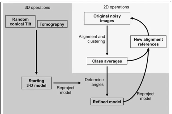 Figure 2 Schematic representation of the key steps in the analysis of single particle images.