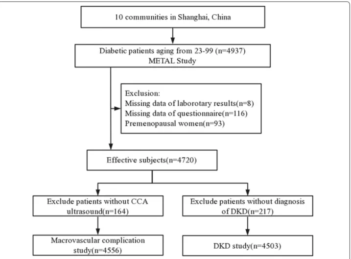 Fig. 1  Flowchart of the inclusion and exclusion of participants