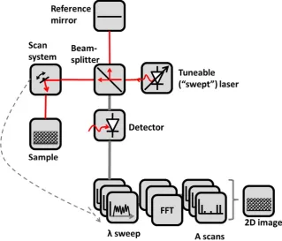 Fig. 1. Schematic diagram of a typical swept laser OCT setup.