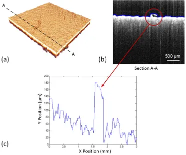 Fig. 4. Analysis of a solid specimen with smooth surface ﬁnishing: (a) 3 × 3 × 3 mm 3D OCT structural image