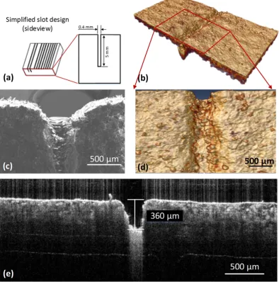 Fig. 5. (a) Design of solid specimen with different shapes of void built into the surface of the structures; (b) 3D OCT image of the square void; (c)2D scanning electron microscope (SEM)image for the square void); (d) zoomed in 2D OCT surface image of the square void; (e) OCT cross-sectional image of the square void.
