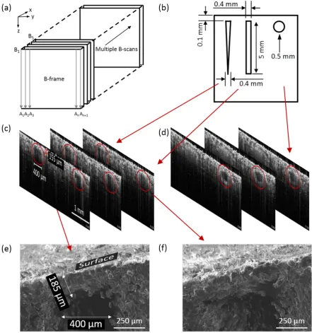 Fig. 9. (a) 3D scanning protocol; (b) dimensions of the designed voids; (c), (d) a series of OCT cross-sectional structural images of the sub-surface triangular and square shaped voids and(d) for circles, with a gap of 20 μm; (e), (f) SEM images for the triangular and square voids.