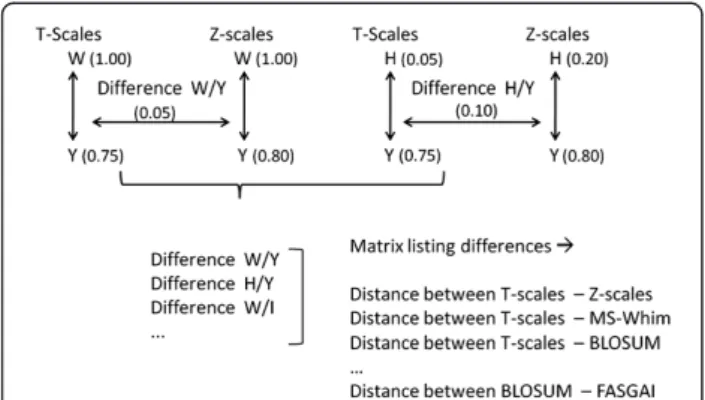 Figure 5 Approach used to characterize the similarity of amino acid descriptor sets. After normalization of all descriptor sets, the difference between a pair of descriptor sets was calculated