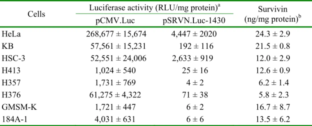 Tab. 2. Metafectene-mediated expression of luciferase driven by the CMV promoter  (pCMV.Luc) and the human survivin promoter (pSRVN.Luc-1430), and the levels of  survivin protein in cell lysates of tumor and non-tumor human cells