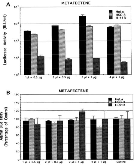 Fig. 1. Transfection activity and cytotoxicity of Metafectene under different conditions in  HeLa, HSC-3 and H413 cells