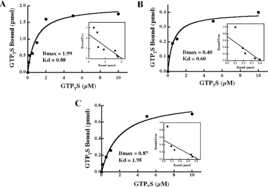 Fig. 6. The GTP-binding activity of Gbp45 and its mutants. The GTP -binding activities of  wild-type Gbp45 and its mutants  T43N Gbp45 and  T56N Gbp45 were examined as described in 
