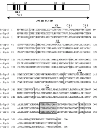 Fig. 3. The domain organization and evolutionary conservation of Gbp45. A schematic  overview of Gbp45 protein is presented based on sequence analysis