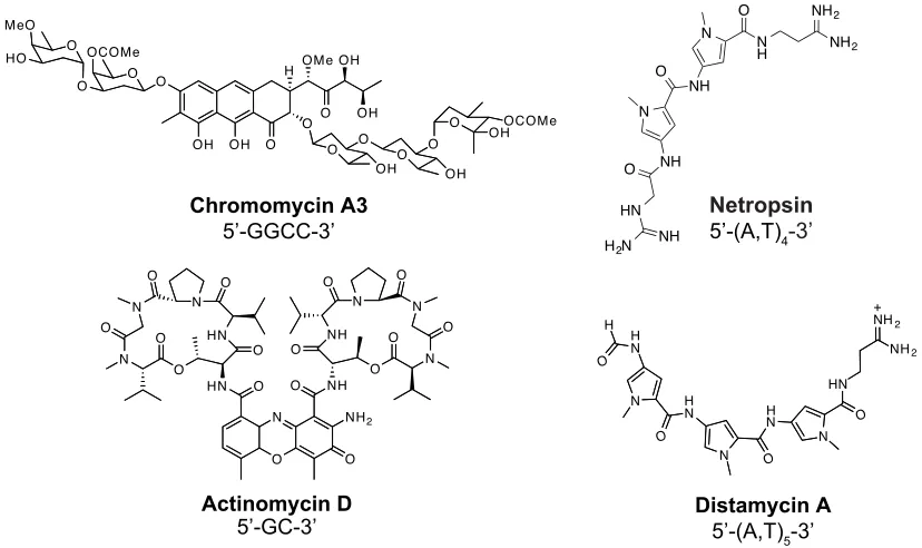 Figure 1.3 Chemical structures of DNA-binding small molecule natural products.    