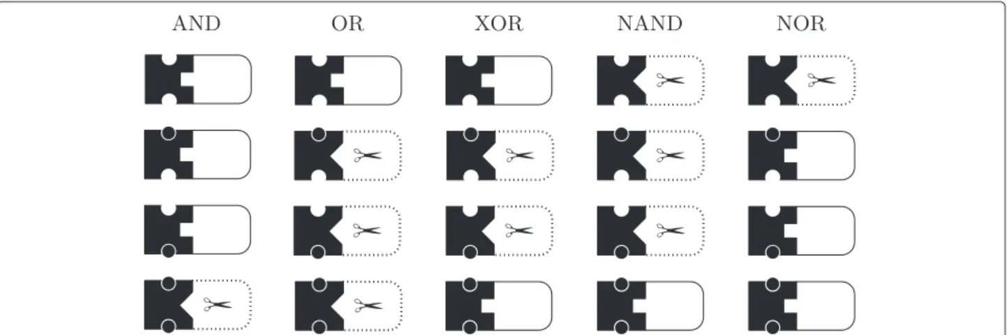 Figure 3 The abstract representation of RNA molecular logic gates. The abstract representation of RNA molecular logic gates with (AND, OR,
