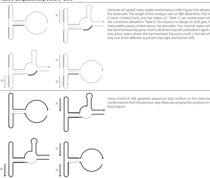 Table 5 Computational protocol (P-ERM)