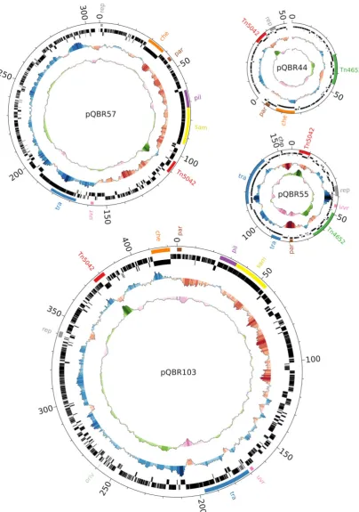 Fig. 1. Ring images of each of the sequenced pQBR plasmids. From the middle of each image, concentric rings show (1) GC contentthat plasmid, and are coloured according to the degree of deviation, with the maximum and minimum indicating deviation of 0.1 fro