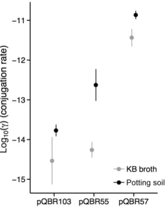 Fig. 3. Conjugation rates between P. ﬂuorescens SBW25 for eachof the three plasmids in KB broth and soil microcosms, calculatedaccording to Simonsen et al