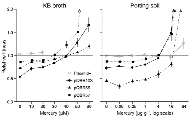 Fig. 4. Relative ﬁtness of plasmid-bearing