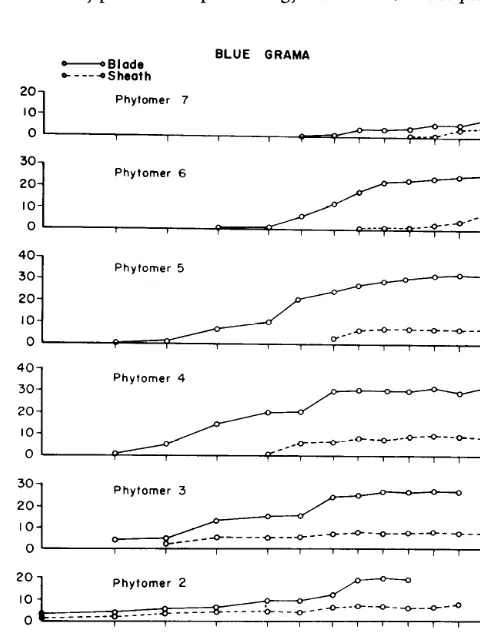 Fig. 2. Shoot growth curve by vegetative shoots of Lovington blue grama. 