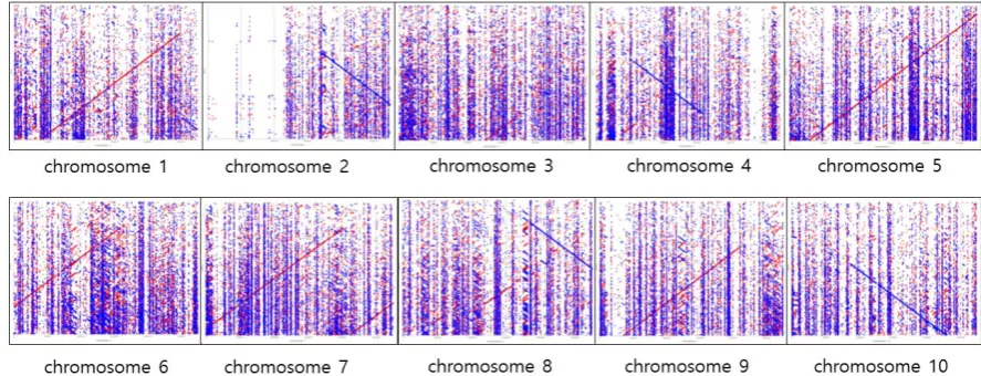 Figure 2. The five rounds polishing with Racon after Miniasm assembly versus each chromosome of the sorghum reference