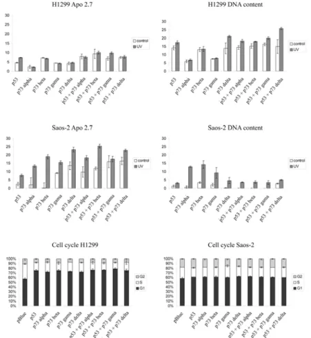Fig. 4. The ability of TAp73 isoforms to induce apoptosis and cell cycle changes.  Transfected cells were assessed for the degree of apoptosis with Apo2.7 or subG1 DNA  content, and assessed for the stage of the cell cycle