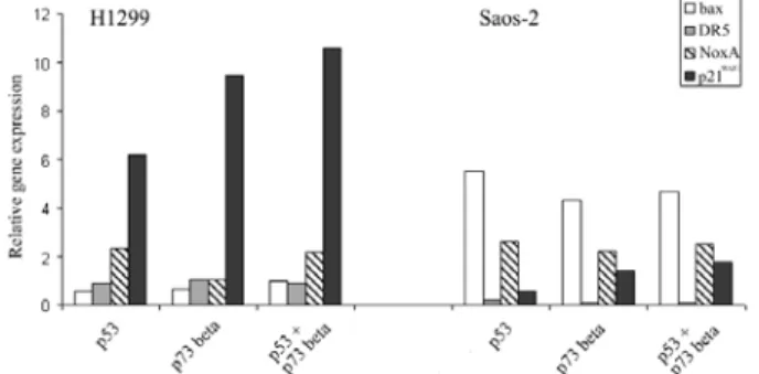 Tab. 2 details the relative changes in the gene expression in response to transient  transfection with p53, TAp73β or their combination in both Saos-2 and H1299  cells