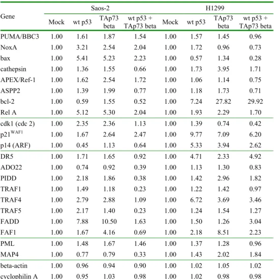 Tab. 2. The effect of transfected wild-type p53 and TAp73β individually or together on the  expression of p53-associated genes connected with cell cycle control or apoptosis in Saos-2  and H1299 cells exposed to UV 12 h previously