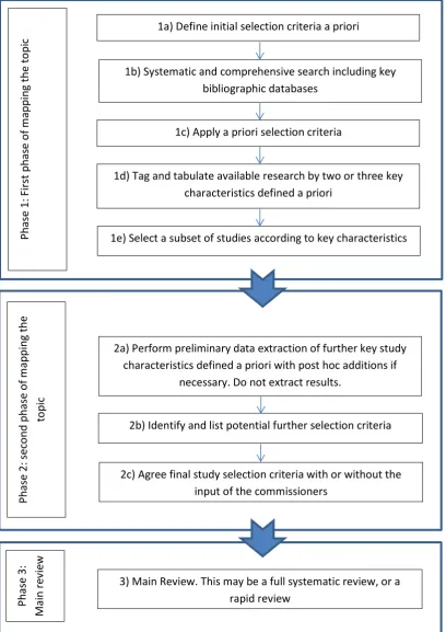 Figure 1. Flow chart of the review methods 