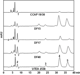 Figure 5. HPLC chromatograms of MTBE/ethanol extracts of the five Dunaliella strains cultivated under 1500 µmol m-2 s-1