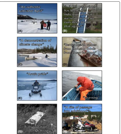 Fig. 2 Key photos and quotes/messages (a-h) selected by PhotoVoice participants in Rigolet, Nunatsiavut, Labrador, Canada in 2010