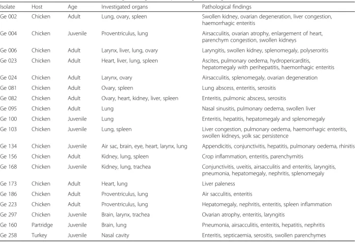 Table 1 Isolated Gallibacterium strains, investigated organs and pathological findings in the hosts