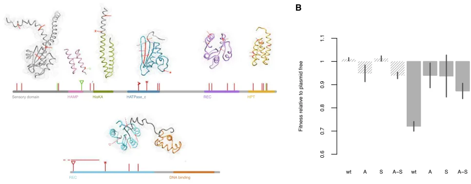 Figure 3. Functional Consequences of the gacAhaving negative effects on protein function are shown in red, with those predicted as being neutral in green