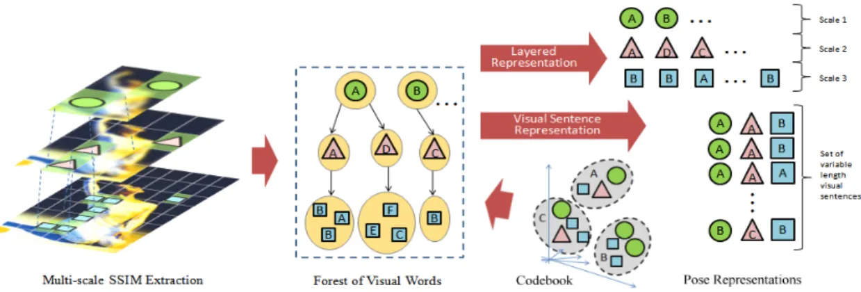 Fig. 2. Computing the feature representation for pose. Self-similarity (SSIM) features [33] are computed over multiple scales