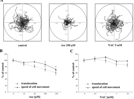 Fig. 1. The effect of Asc and NAC on the motility of WC 256 cells. A – Composite  trajectories of migrating cells are displayed in circular diagrams drawn with the initial  point of each trajectory placed at the origin of the plot