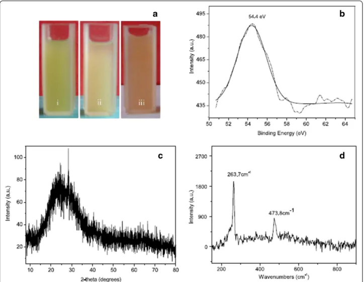 Figure 2 Se nanoparticle synthesis using Capsicum annum extract (a) The time-dependent color changes of the reaction solution; (i), (ii), (iii) represents 0, 5, 15 h, respectively