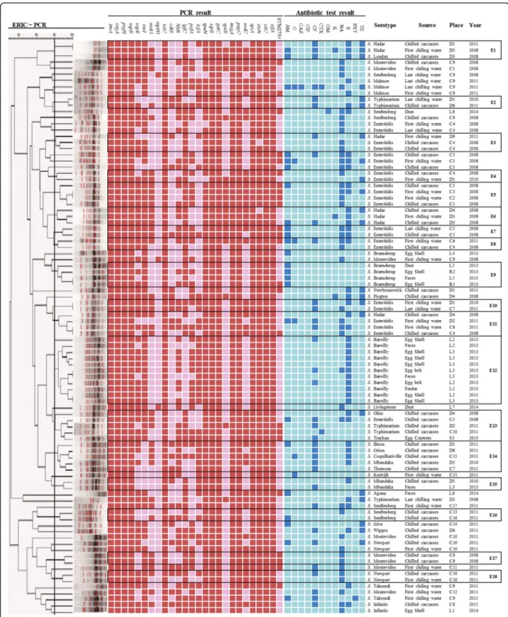 Fig. 1 The ERIC-PCR analysis of the non-typhoidal Salmonella from Korean poultry industry is displayed using dendrograms generated by Bionumerics soft- soft-ware