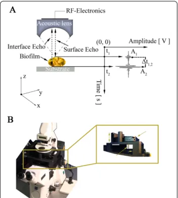 Figure 3 Time-resolved high-frequency scanning acoustic microscopy for imaging and quantification of biofilm matrix