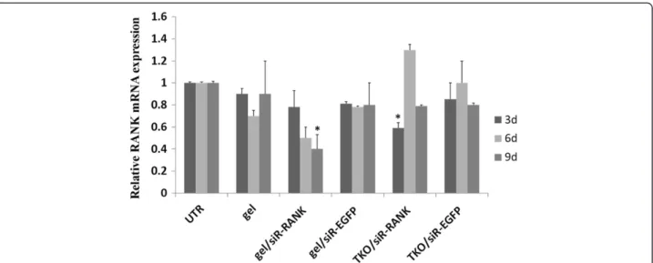 Figure 2 Viability for cells incubated with chitosan hydrogel alone or coupled with siRNA