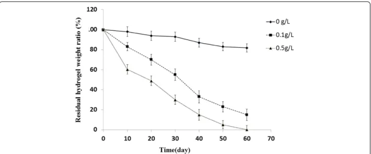 Figure 5 Mass loss of hydrogel treated by lysozyme. Hydrogel was incubated in the absence or presence of lysozyme at various concentrations (0.1 g/L and 0.5 g/L), and the residual weight of dried hydrogel was measured at different intervals