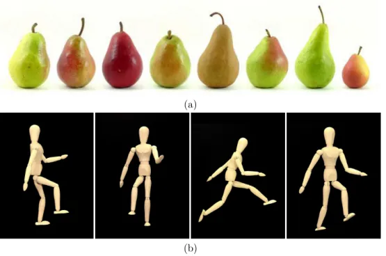 Figure 1.1: (a) Pears are an example of objects which are simple to detect, since little variations can be found among diﬀerent samples